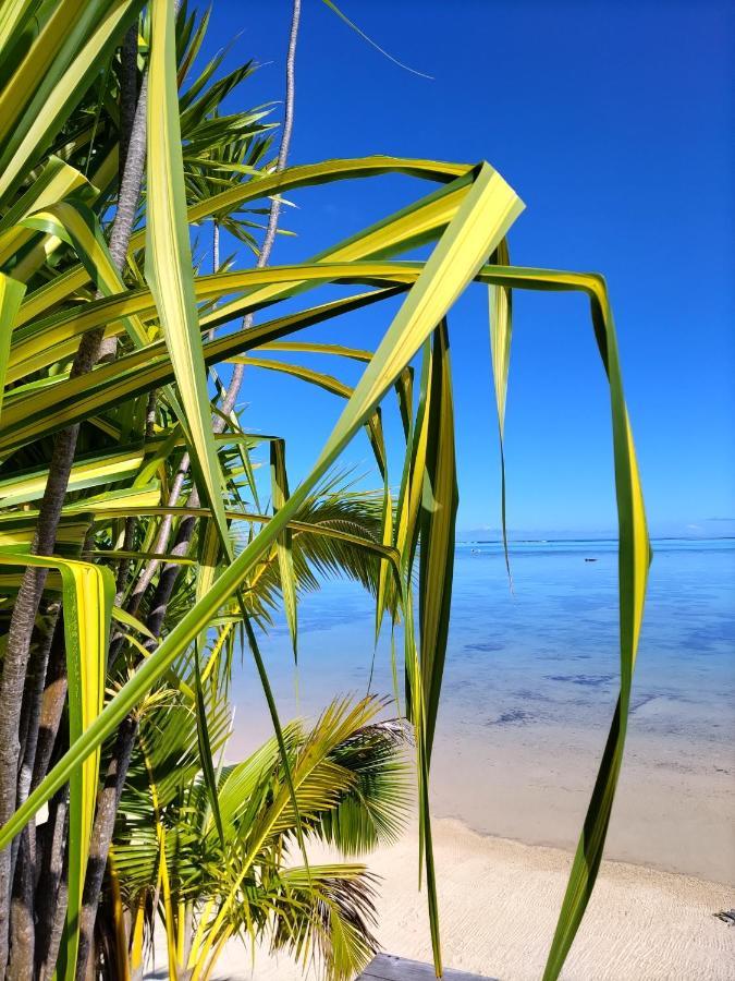 Moorea Beach Lodge Dış mekan fotoğraf