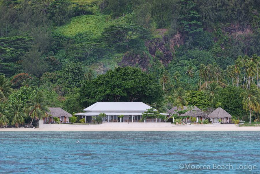 Moorea Beach Lodge Dış mekan fotoğraf